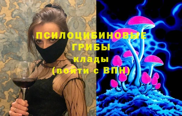 мяу мяу мука Алзамай