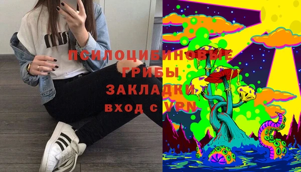 не бодяженный Алексин