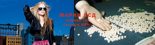 мяу мяу мука Алзамай