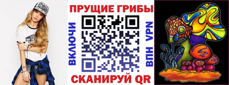 МЕГА ССЫЛКА наркота Бирюч Галлюциногенные грибы Psilocybe
