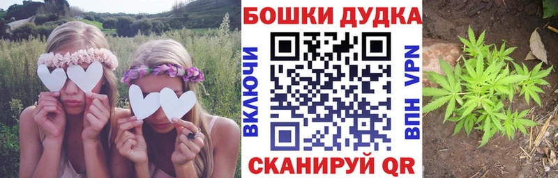 площадка формула  Бирюч  Бошки Шишки марихуана 